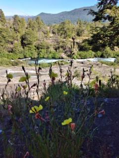 Cabañas Lodge Patagonia truful - Melipeuco - 7