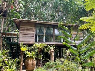 Fern Paradise - Chiang Mai - 0