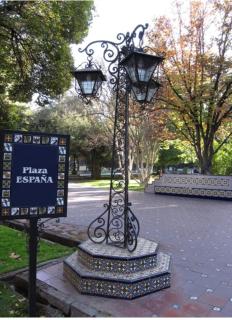 Prunus - Mendoza - 3