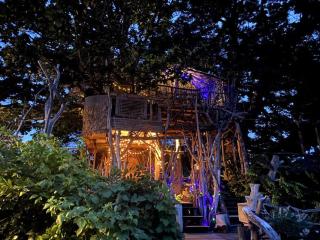 Mizuno San's Tree House - - 5