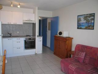 Appartement T2 avec 5 couchages, piscine, tennis, proche plage et port, animaux admis - Saint-Cyprien - FR-1-106-47 - 9