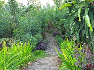 Villa Pondok Dauh Saba - 3