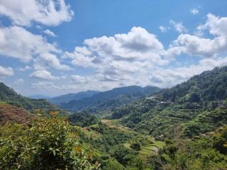 Rita's Homestay - - 6