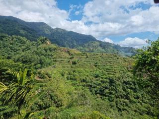 Rita's Homestay - - 1