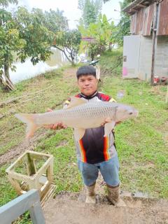 Khunkorn Fishing Farm Stay - 5