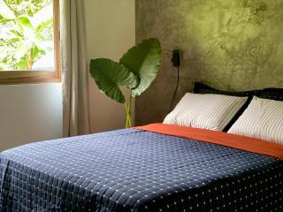 Casa Salvaje Vacation Rentals - Bocas del Toro - 9