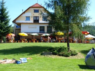 Hotel Kormoran - Zlenice - 6