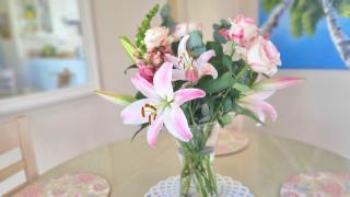Dragonfly Cottage in Noordhoek - Kaapstad - 5