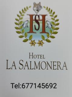 La Salmonera Cangas de Onís - Caño - 9