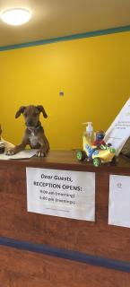 Cool Bananas Backpackers - 7