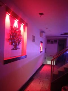 Banyan hotel&restro - Hisār - 3