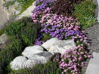 Wo der Hahn kräht - 1