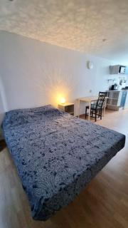 Studio en rez de jardin avec terrasse privée - Le petit Château Avesnois - TV - WIFI - logement complet - Avesnes-sur-Helpe - 1