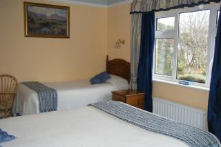 Buttermilk Lodge Guest Accommodation - Clifden - 4