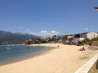 SUPERBE APPARTEMENT SUR PLAGE VUE PARADISIAQUE PIEDS DANS L'EAU - Propriano - 8