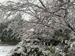 Privatzimmer Kempen/Nrh. - 5