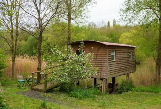 Lakeside Cabin on Stilts- 'Kingfisher' - Rous Lench - 3