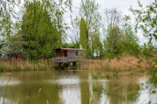 Lakeside Cabin on Stilts- 'Kingfisher' - Rous Lench - 1