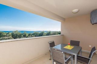 Rogina 2. sea view apartment - Mandre - 6