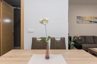 Rogina 2. sea view apartment - Mandre - 5