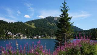 Chalet Bergliebe Turrach - Turracher Hohe - 8