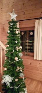 Chalet Bergliebe Turrach - 1