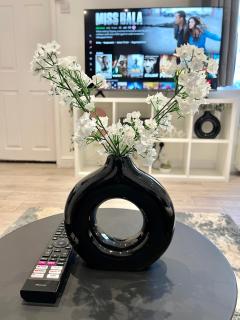 Stylish Cosy Studio Apartment - Kent - 9