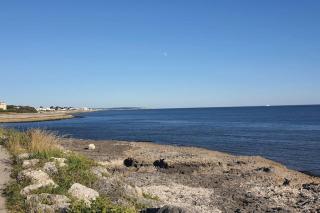 Studio lumineux sur balcon avec vue mer et plage - 7