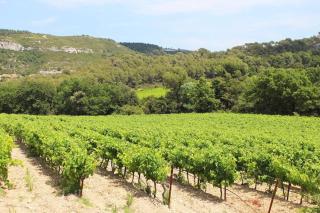 Cozy Studio with balcony and free parking - Aix-en-Provence - 4