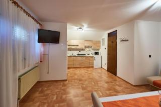 Apartma Steles - Stari Trg pri Ložu - 8