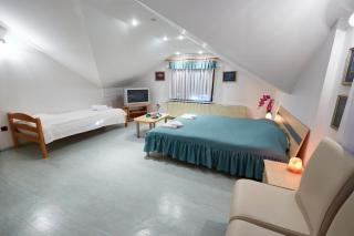 Apartma Steles - Stari Trg pri Ložu - 7