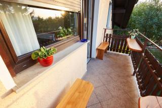Apartma Steles - Stari Trg pri Ložu - 6