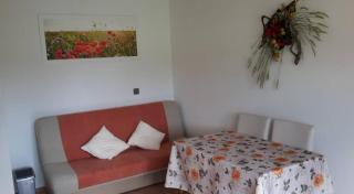 Apartma Steles - Stari Trg pri Ložu - 4