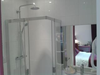 Kyriad Saumur Hyper Centre Hôtel, Appartements, Séminaires et SPA soins Sothys Paris - 5