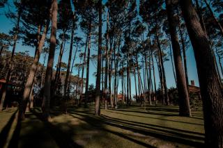 Il Belvedere - Punta del Este - 1