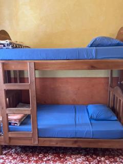 Hostel Iguana Azul - Rovine di Copán - 5