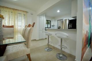 The apartment you dreamed of 2 ! - Santiago de los Caballeros - 7