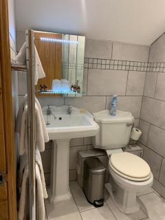 Broombush B & B & Yr Nyth Shepherds Hut - Aberhafesp - 7
