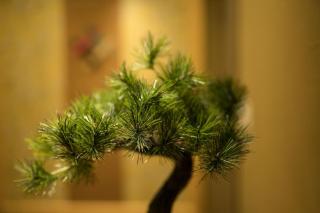 HOTEL SHIKISAI KYOTO - Vacation STAY 74867v - Kyoto - 1