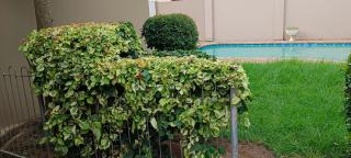 Repose Guest house! - King Williamʼs Town - 1