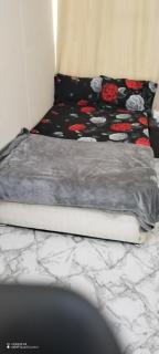 Wummies place - Abu Dhabi - 1