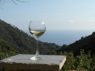 Agriturismo Costa di Campo - Vernazza - 0