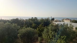 Maritsa's Roses Apartments - Pomos - 7