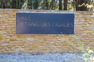 L'Etang Des Cigales - Uchaux - 3