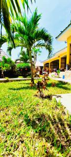Casa Da Luna Studios - Watamu - 9