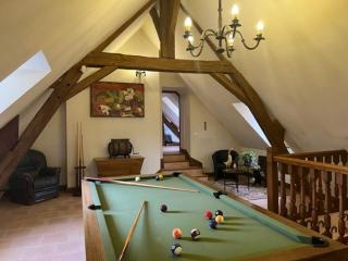 Retraite paisible avec cheminée, étang privé et chalet près du Mans - FR-1-410-382 - - 3