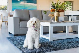 Little Ocean Paradise - Bonny Hills - 3