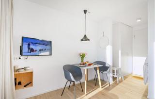 Pet Friendly Apartment - 4