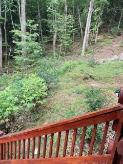 Alpenhaus Cabins Real Log Home in Helen Ga Mountains with hot tub and balconies - Sautee Nacoochee - 3