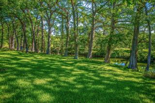 Clear River Cabin on Medina - Bandera - 8